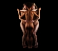 franksoens_body_02